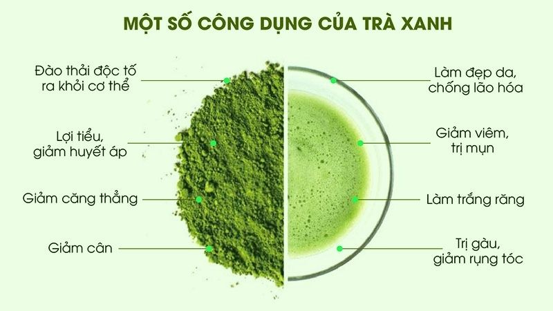 Vitamin C và EGCG trong trà xanh vừa kích thích collagen, vừa ức chế melanin giúp da sáng mịn, đàn hồi.