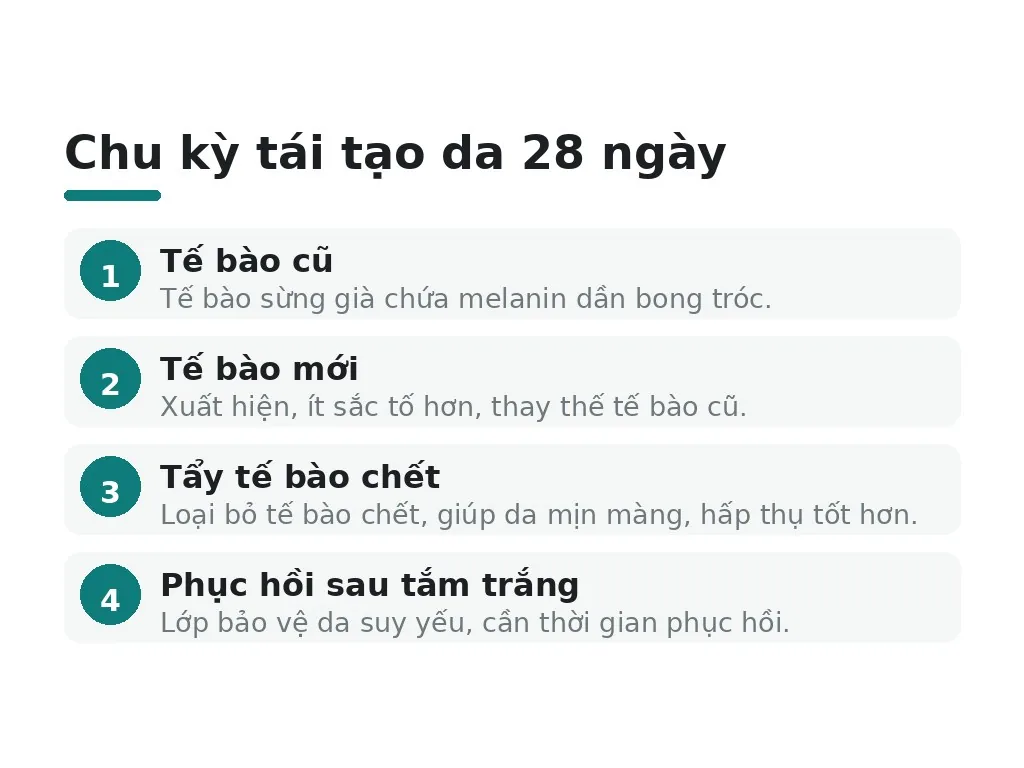 Tế bào da thay đổi ra sao trong 28 ngày?