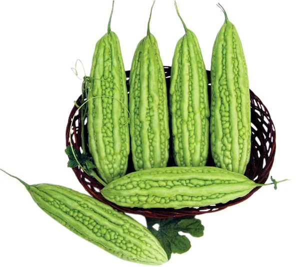 Tắm khổ qua nguyên chất xay nhuyễn giúp kiềm dầu, làm mát và sáng da tự nhiên cho da thường và dầu.