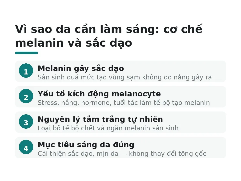 Vì sao da cần làm sáng: cơ chế melanin và sắc dạo