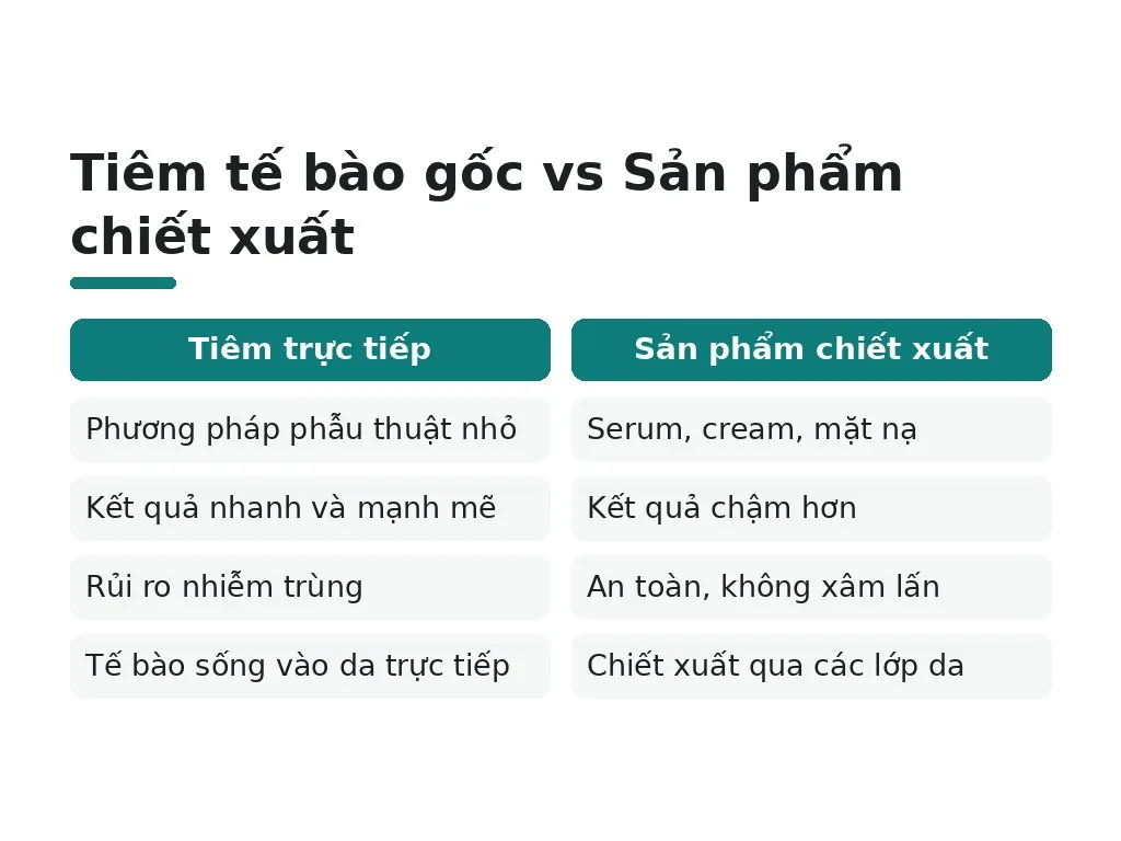 Tế bào gốc (Stem Cell) — Tái tạo da từ bên trong
