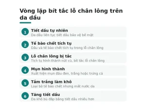 Vòng lặp bít tắc lỗ chân lông trên da dầu