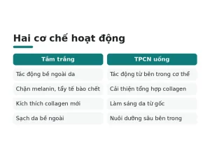 Hai cơ chế hoạt động