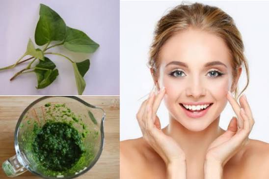 Diếp cá mix mật ong trị mụn cấp ẩm, mix sữa tươi dưỡng sáng da khô, mix muối biển kiềm dầu sạch sâu lỗ chân lông.