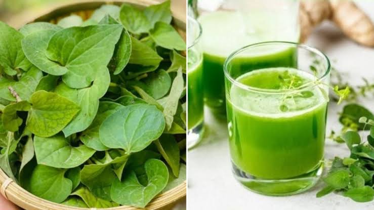 Thanh lọc giúp giảm viêm và ức chế melanin quá mức; diếp cá hỗ trợ giải độc, phục hồi tế bào giúp da sáng tự nhiên.