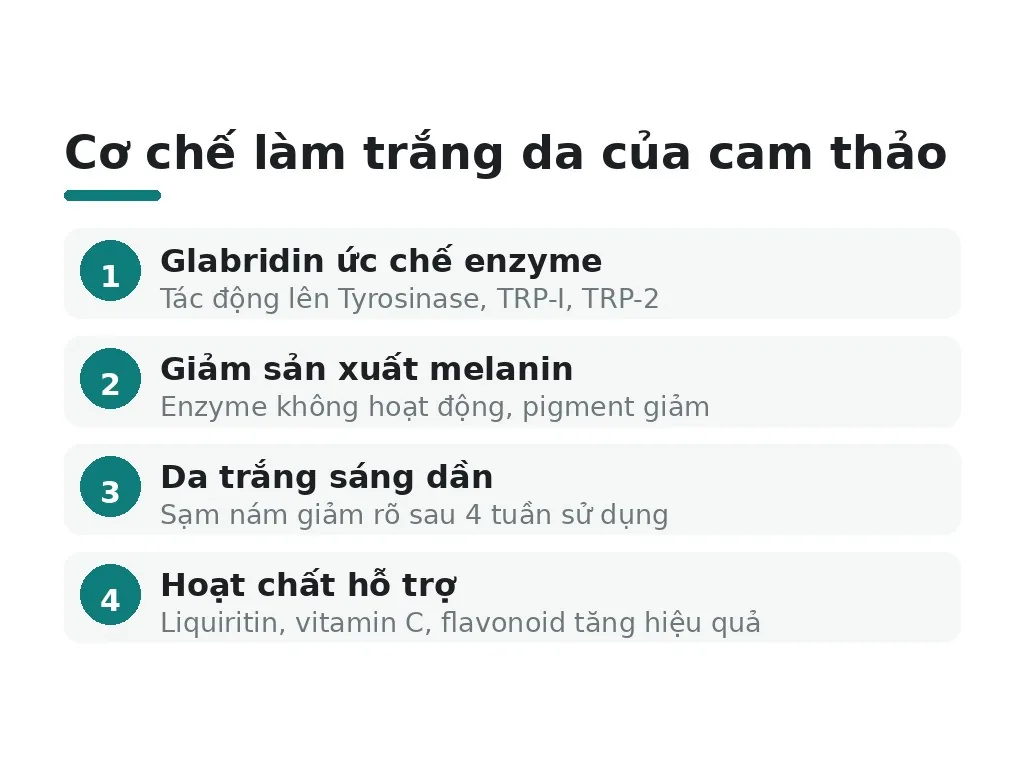 Cam thảo hoạt động ra sao để làm trắng da?