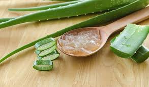 Nha đam giàu vitamin A, C, E, B1 cùng khoáng chất canxi, kẽm giúp chống oxy hóa, kháng viêm mụn, thúc đẩy tái tạo tế bào và nuôi dưỡng da sáng khỏe.